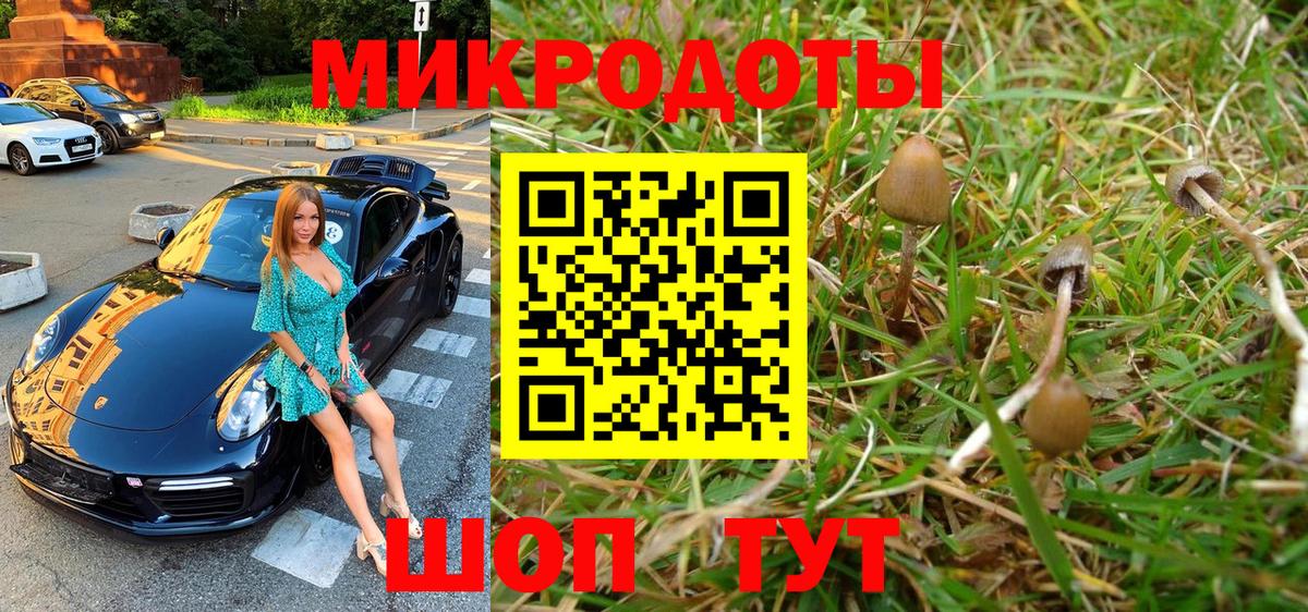 Галлюциногенные грибы прущие грибы  Галлюциногенные грибы GOLDEN TEACHER  где купить наркоту  Калининград  Вход с VPN 